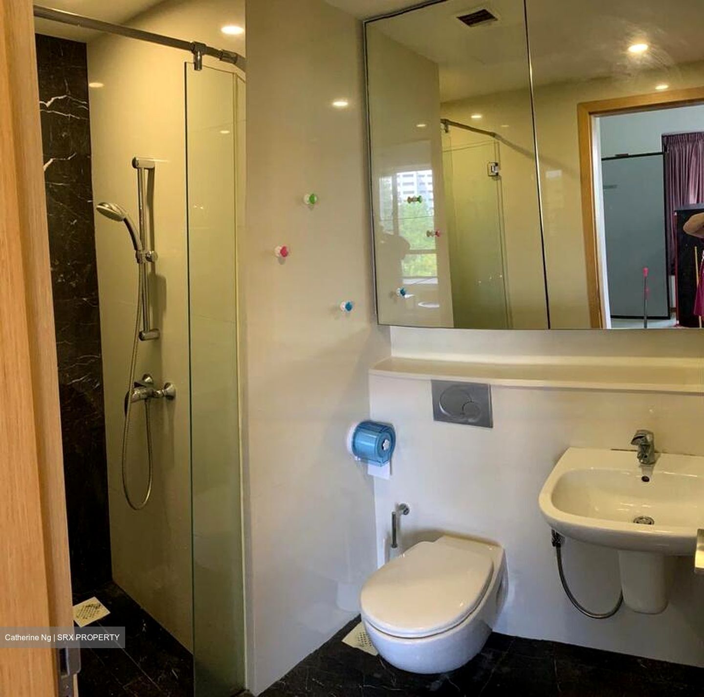 8@Woodleigh (D13), Condominium #485579271